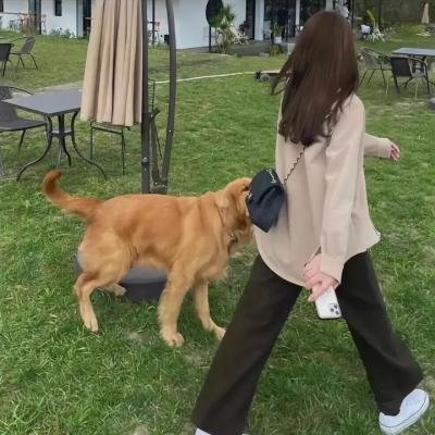 无耻之徒第一季